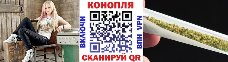 Как найти закладки Козельск A PVP  Codein  АМФЕТАМИН  Cocaine  МАРИХУАНА  ГАШИШ  Бутират 