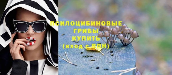 молекула духа Кодинск
