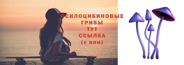 молекула духа Кодинск