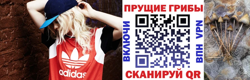 Галлюциногенные грибы ЛСД  Козельск 